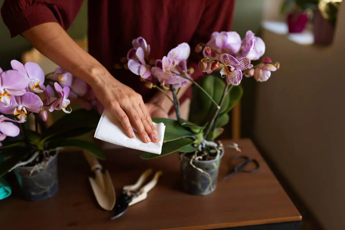 How to Clean Silk Flowers: A Comprehensive Guide